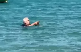 Γατάκι 