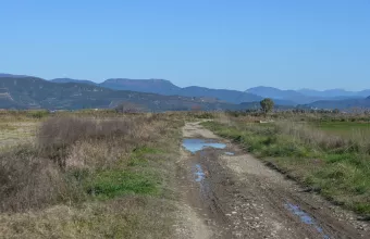 Δολοφονία Μπάμπη Κούτσικου στο Μεσολόγγι: Ενοχος ο κρεοπώλης