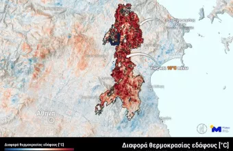 Χάρτης