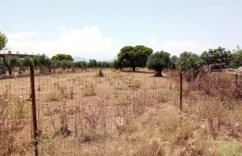 Ακαθάριστα οικόπεδα
