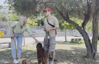 Pet Stories