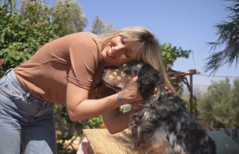 Pet Stories