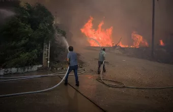 Πυρκαγιά στην Εύβοια