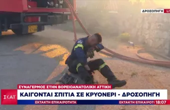 Πυροσβέστης