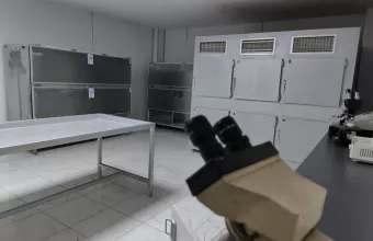 Ιατροδικαστική