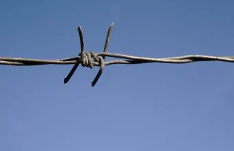 φράχτης