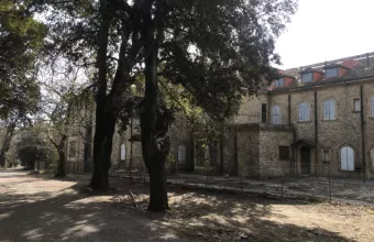Τατόι