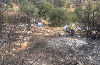 Φωτιά Υμηττός