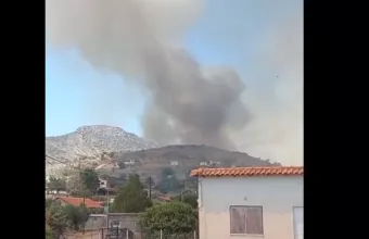 Φωτιά στη Βοιωτία