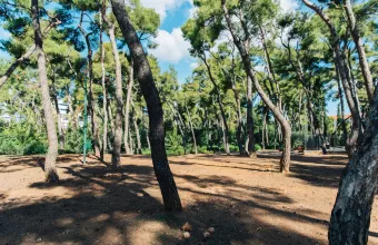 Άλσος Χωροφυλακής