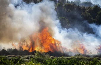 Καύσωνας λόγω κλιματικής αλλαγής