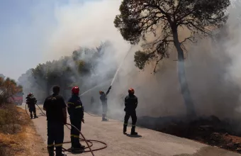 Θεσπρωτία: Ενισχύθηκαν οι δυνάμεις για τη φωτιά στη Χόικα