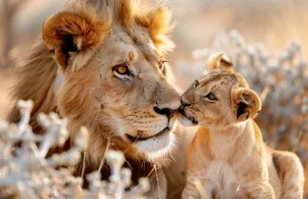 Λιοντάρι viral 