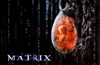 Κίνα: Εταιρεία αναπτύσσει το πρώτο ανθρωποειδές «Ρομπότ Εγκυμοσύνης»