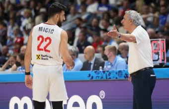 Μίτσιτς Πέσιτς