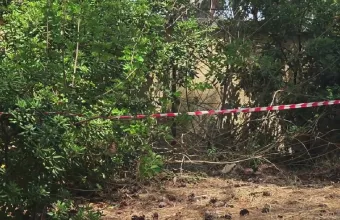 Νεκροταφείο ζώων