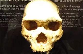 Το μυστηριώδες ανθρώπινο κρανίο των Πετραλώνων