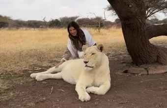 Χαρά Παππά λιοντάρι Αφρική