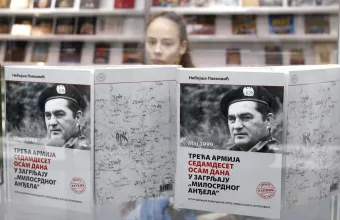 Νεμπόισα Πάβκοβιτς