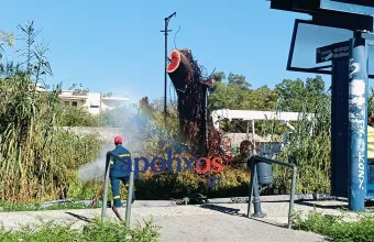 Πάτρα φωτιά 