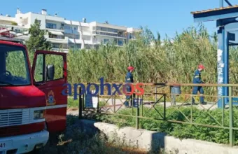 Φωτιά Πάτρα 