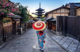 Ιάπωνες ποσοστά καρδιαγγειακά και εγκεφαλικά