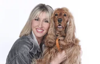 PET STORIES