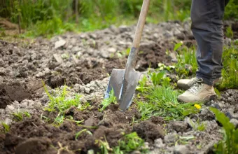 εθαψε τη μητέρα της στον κηπο