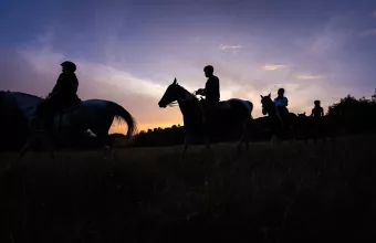 κηνυγι τρούφας