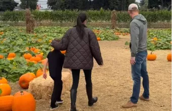 χαρι μεγκαν 