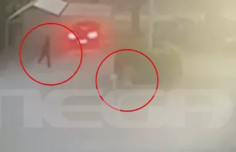 Βίντεο Φοινικούντα