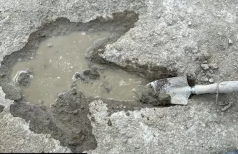 Δεινόσαυροι 