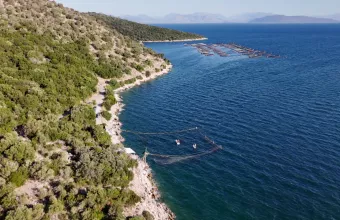 Νταλιάνι: Η τεχνική ψαρέματος που είναι αποκλειστικό προνόμιο της Πρέβεζας