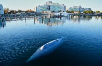 Υποβρύχιο drone