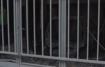 Νέος Κόσμος 