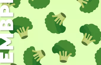 Όλα στην εποχή τους: Τα φρέσκα του Νοεμβρίου