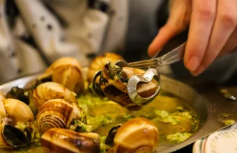 σαλιγκάρια