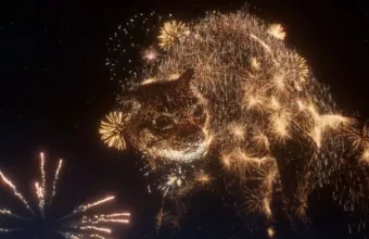 Αθόρυβα Πυροτεχνήματα: Η νέα πρωτοβουλία για την Προστασία των Ζώων Συντροφιάς