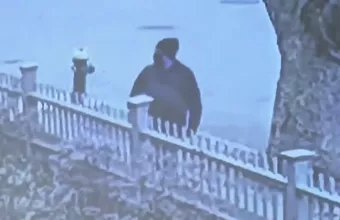 Δράστης επίθεσης Brown