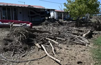 daniel καρδιτσα