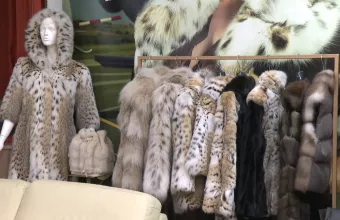 Γούνες Καστοριάς