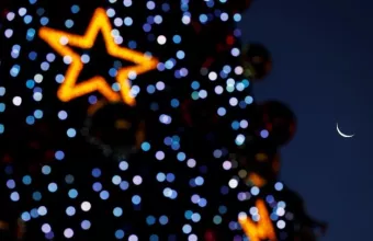 Ινδία δέντρο