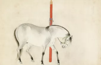 Κινέζικη αστρολογία 2026