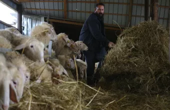 Βόλος: Από τη φωτιά και την πλημμύρα… στην ευλογιά