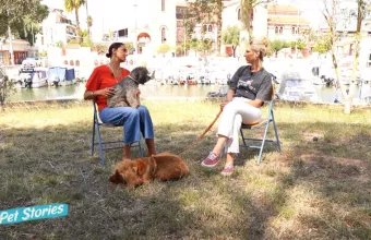 Pet Stories