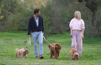Pet Stories