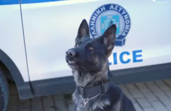 Σκύλος-Αστυνομία