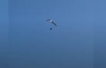 Αλεξιπτωτιστής