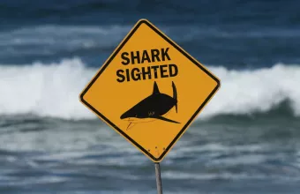 Καρχαρίες στην Αυστραλία 