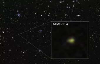 Ο γαλαξίας MoM-z14